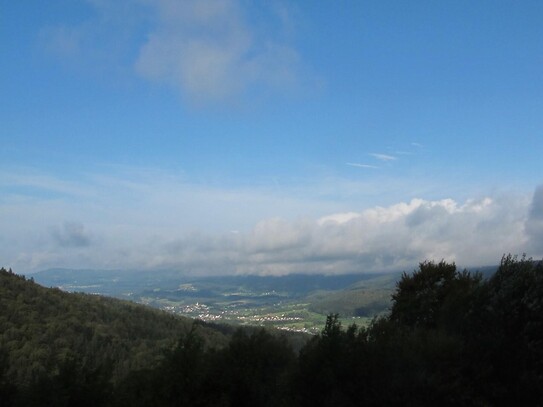 Traumhaus, 3 kpl. Wohnungen, Alleinlage, unverbaubarer Fernblick, Urlaubsregion Sonnenwald