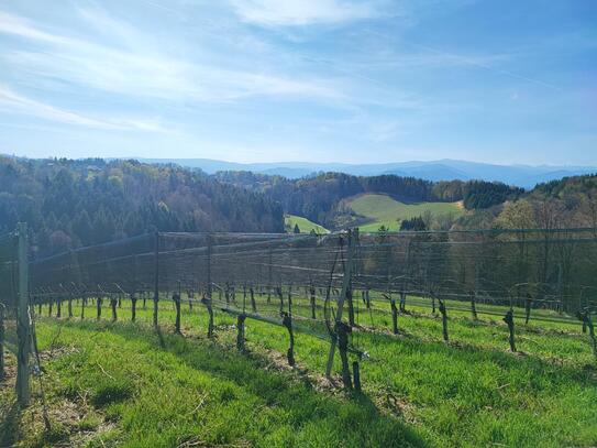 Österreich-Steiermark: Beliebtes Weingut zu verkaufen