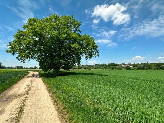 Landwirtschaftliches Grundstück am Ortsrand von Günding (Gde. Bergkirchen) zu verkaufen!