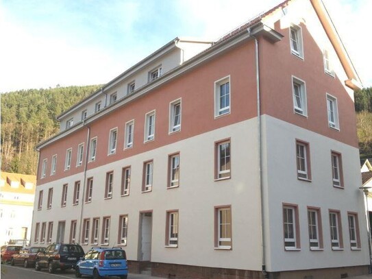 2015 kernsanierte Wohnung Wilhelmstr. mit Balkon und Carport