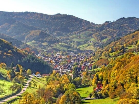 Bauplatz in sonniger Lage von Ottenhöfen im Schwarzwald!