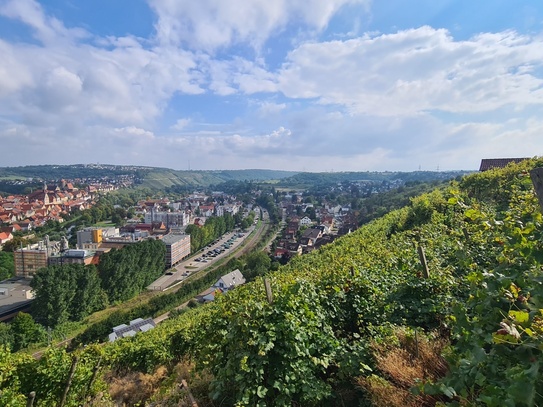 Weinberg zu verkaufen