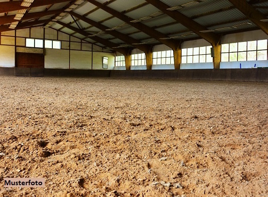 Landwirtschaftliche Hofstelle mit Pensionspferdehaltung