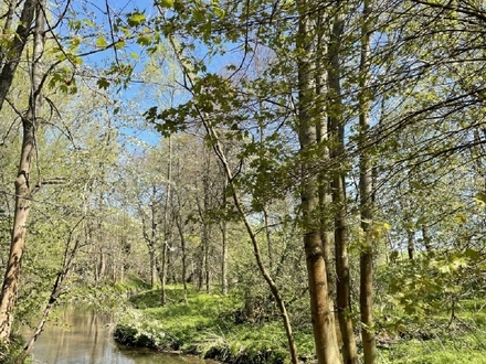 Wohnen im Grünen und am Wasser!