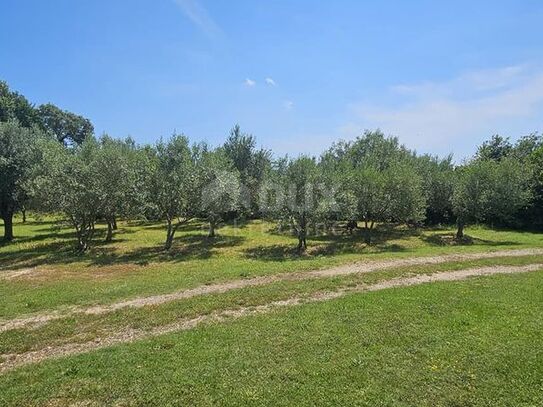 ISTRIEN, MARČANA Baugrundstück 1000 m2 - MEERBLICK!!