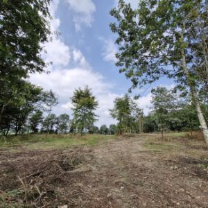 sehr schön gelegene Freizeit-Waldfläche als Nutzung von Parkmöglichkeit für Wohnmobile