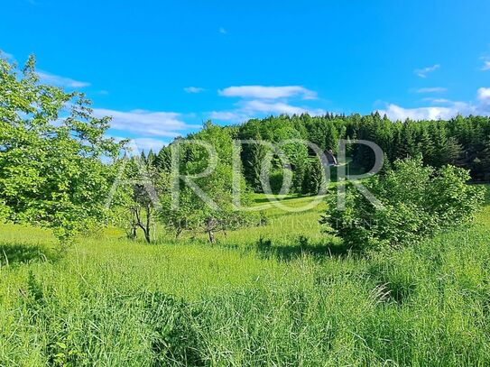 Grundstück Jablan, Vrbovsko, 17.000m2