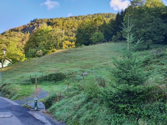 Reserviert - Baugrundstück in Todtnau (Schlechtnau)