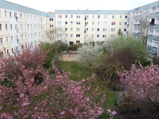 Stilvolle 3-Raum-Wohnung gehobener Innenausstattung Balkon EBK Prov.frei Bezugsfrei