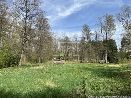 Zwangsversteigerung Land- / Forstwirtschaft in 08144 Hirschfeld, Talsperrenweg