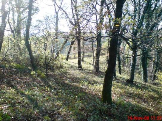 Grundstück Cernik, Čavle, 1.724m2