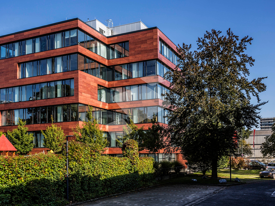 Repräsentative Büroflächen am Kennedydamm zur Miete. Moderne Büroausstattung und Klimatisierung!