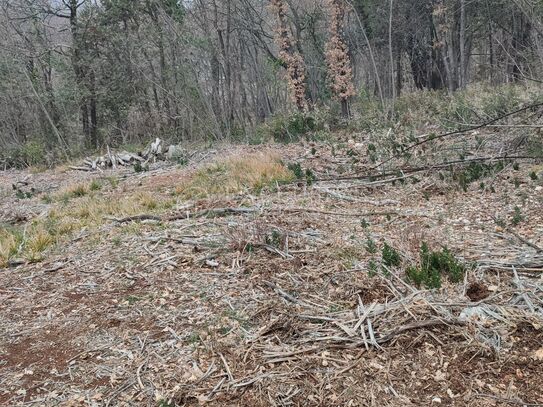 Grundstück Brseč, Mošćenička Draga, 1.590m2