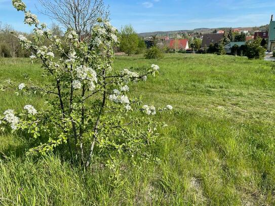 Schkölen,ab sofort befristeter SOMMER-RABATT auf die Baugrundstücke!