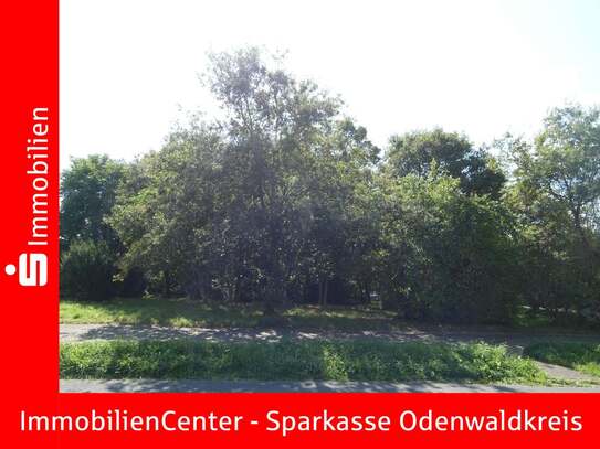 Südlage, Top-Bauplatz, (kein Neubaugebiet) in Bad König im Odenwald