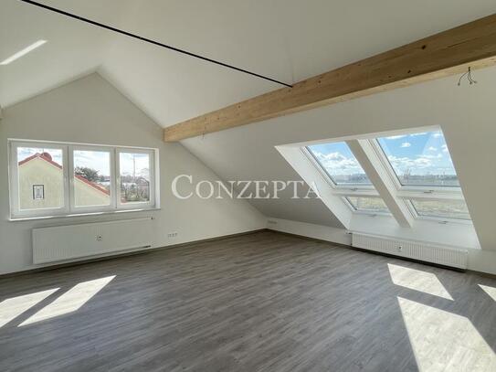 sonnige 3,5 Zi - DG - ca. 80 m² - EBK - Schniegling