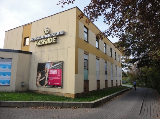 Attraktive Flächen zentral im Gesundbrunnen! BEATE PROTZE IMMOBILIEN