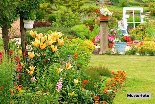 Gartengrundstück mit Gartenhaus