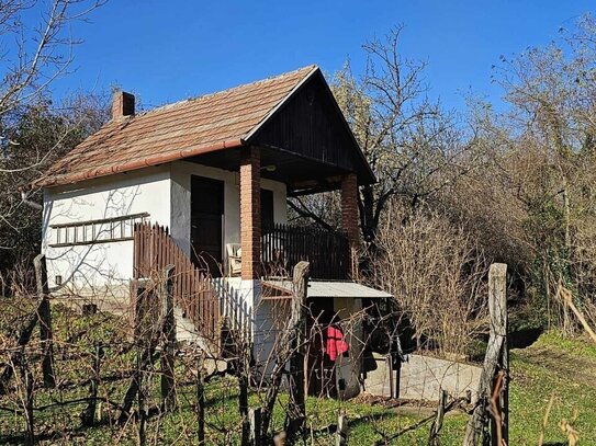 2 Keller/Wochenendhaus mit großem Grundstück in den Weinbergen von Marcali zu verkaufen