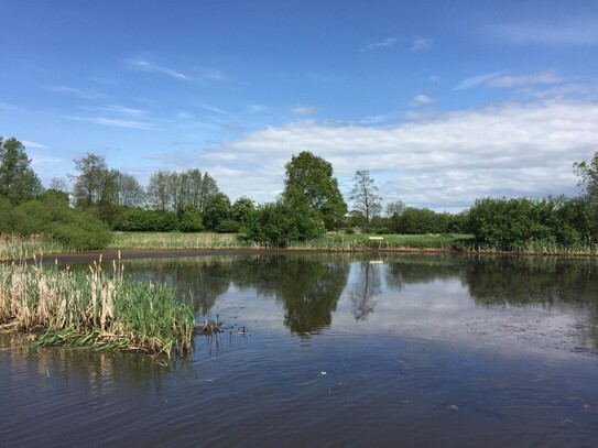 Tolle Fischteichanlage in ländlicher Lage