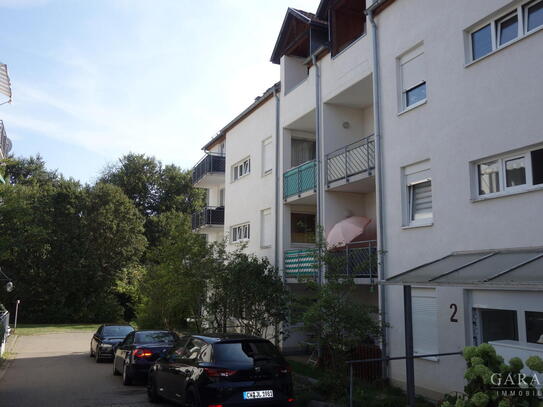 1 Zimmer-Appartement mit verschiedenen Optionen