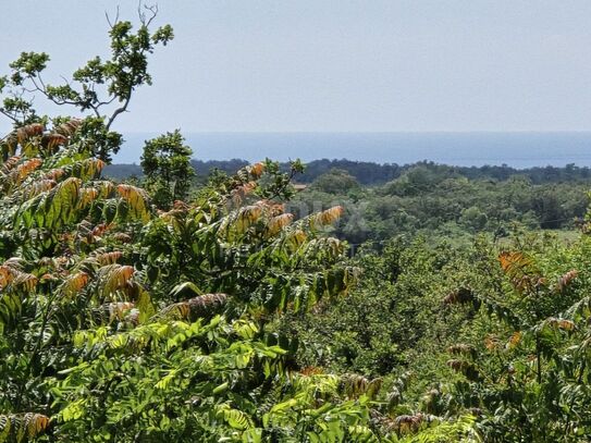 ISTRIEN, BUJE - Bauland mit Genehmigung für 3 Villen mit Swimmingpool, wunderschönem Meerblick