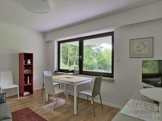 (EF1018_M) Kassel-Stadt: Brasselsberg, moderne möblierte Wohnung mit sep. Hauseingang, Terrasse, Grundreinigung