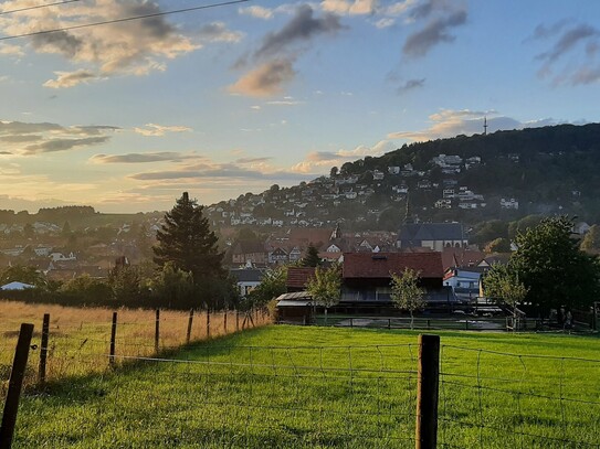 Baugrundstück mit kleinen Bestand, direkt in Büdingen super Lage