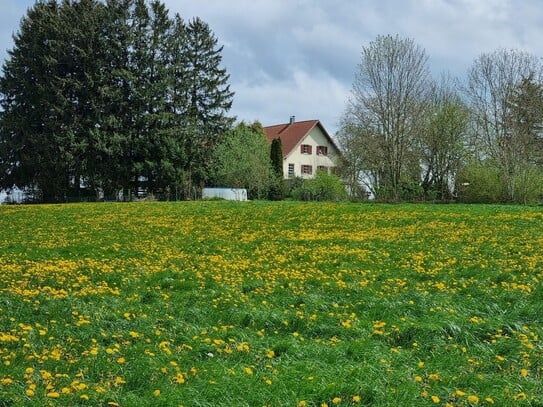 Absolute Alleinlage Perle Bauernhaus mit Herz Erholungsoase Weitblick 2 Wohnungen + Nebengebäuden