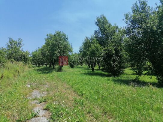 Grundstück Brodsko Vinogorje, Slavonski Brod, 5.504m2