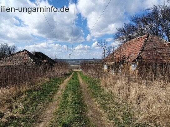 1,6 Hektar großer Geschlossene Garten mit 3 Kellergebäuden in der Nähe des Plattensees