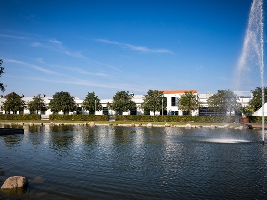 Designbüro im Ostrapark! BEATE PROTZE IMMOBILIEN