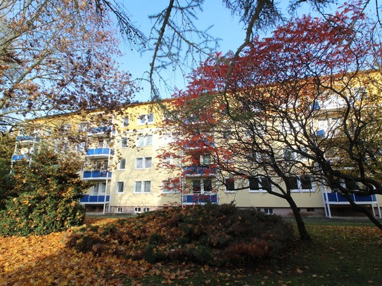 1 Zimmer Wohnung auf dem Campus