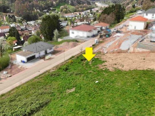 +++ Neubaugebiet: Bauplatz im Südhang von Thaleischweiler mit unverbaubarem Panoramablick in ruhiger Sackgasse+++