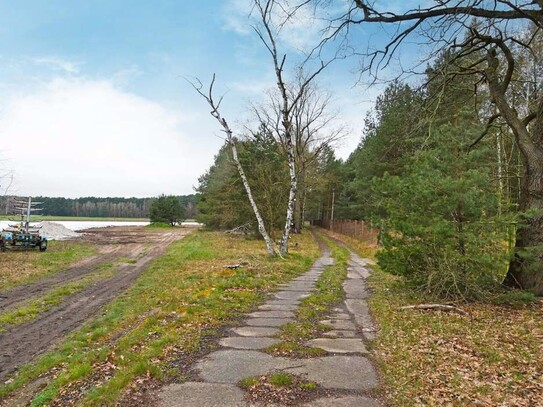 Grundstück in 14547 Beelitz OT Elsholz, Ende Bahnhofsweg „ca. 5.878 m2“