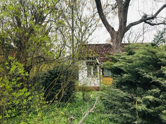 Super Baugrundstück in Kaulsdorf