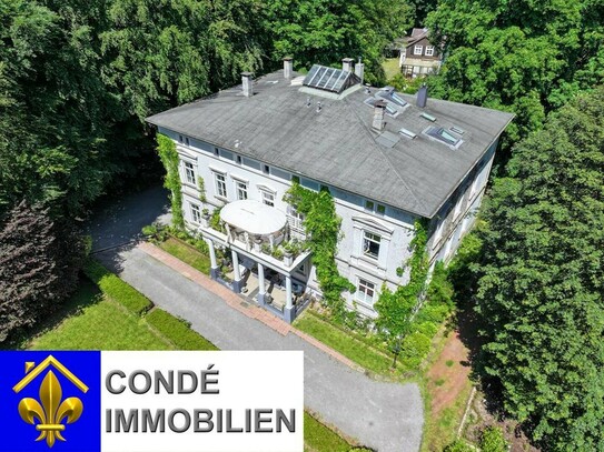 Villa im klassizistischen Stil mit großer Parkanlage zu verkaufen. Mehrfamilienhaus, Villa im Park