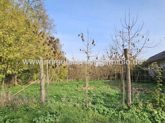 Baugrundstück mit Wald 17 km vom Plattensee entfernt