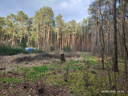 Borkheide, Freizeitgrundstück in Ortslage im Außenbereich