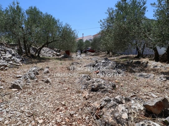 Vodice, Baugrundstück, 650 m zum Meer