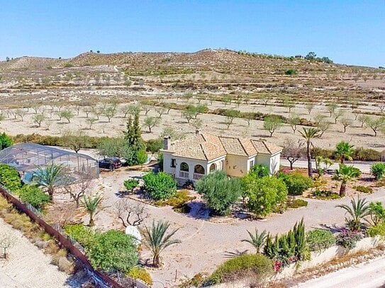 Geräumiges Landhaus mit 3 Schlafzimmern auf großem Grundstück in Torremendo, privater Pool, Garage