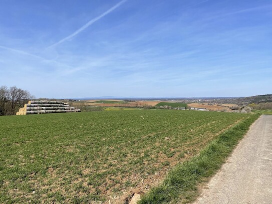 Ackerland, Grünland, Waldfläche in Groß-Umstadt / Wiebelsbach