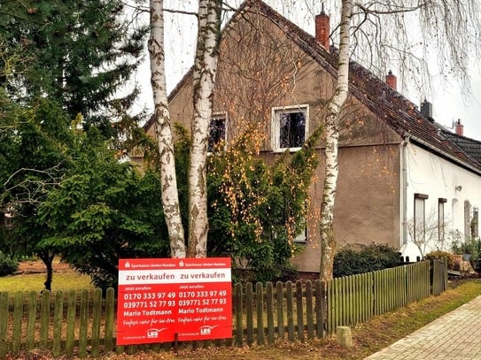 Waldgrundstückchen mit Reihenendhaus