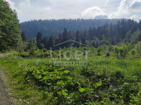 FUŽINE Land-Wald von 22.378 m2 mit Zufahrtsstraße