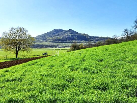 Motovun-Umgebung, Wertvolles Bauland mit Blick auf Motovun