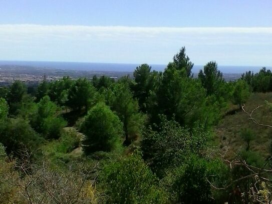 albero:) Panoramalage im Priorat - 100km bis Barcelona