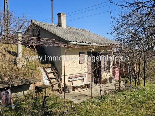 In den Weinbergen von Marcali Keller/Ferienhaus auf Panoramagrundstück zu verkaufen