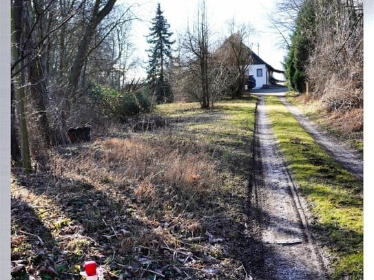 KREIPL-Immo. St.Wolfgang- Einfamilienhaus im Grünen - NATUR PUR