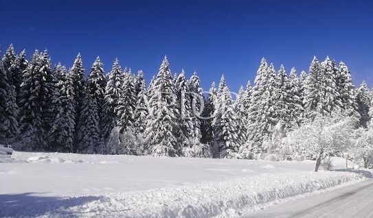 Grundstück Sunger, Mrkopalj, 18.000m2