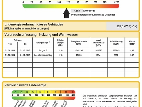 EUTRITZSCH + 1 ZIMMER MIETWOHNUNG + ERSTBEZUG NACH DACHGESCHOSSAUSBAU